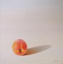 Peach in WInter Sunlight, 16" x 16", Oil on Canvas