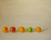 Shapes and Shadows - Apples and Oranges, 20" x 16", Oil on Canvas