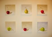Six Fruit - can be bought as a set or individually, six @ 12" x 12", Oil on Canvas