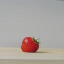 One Strawberry, 16" x 16", Oil on Canvas, SOLD